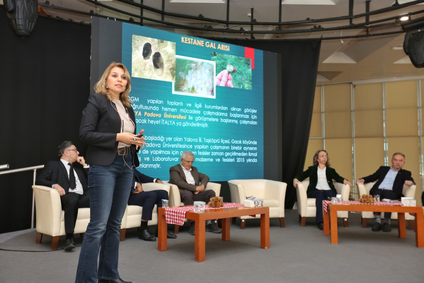 36454 M T Y5 Mzkx Y T