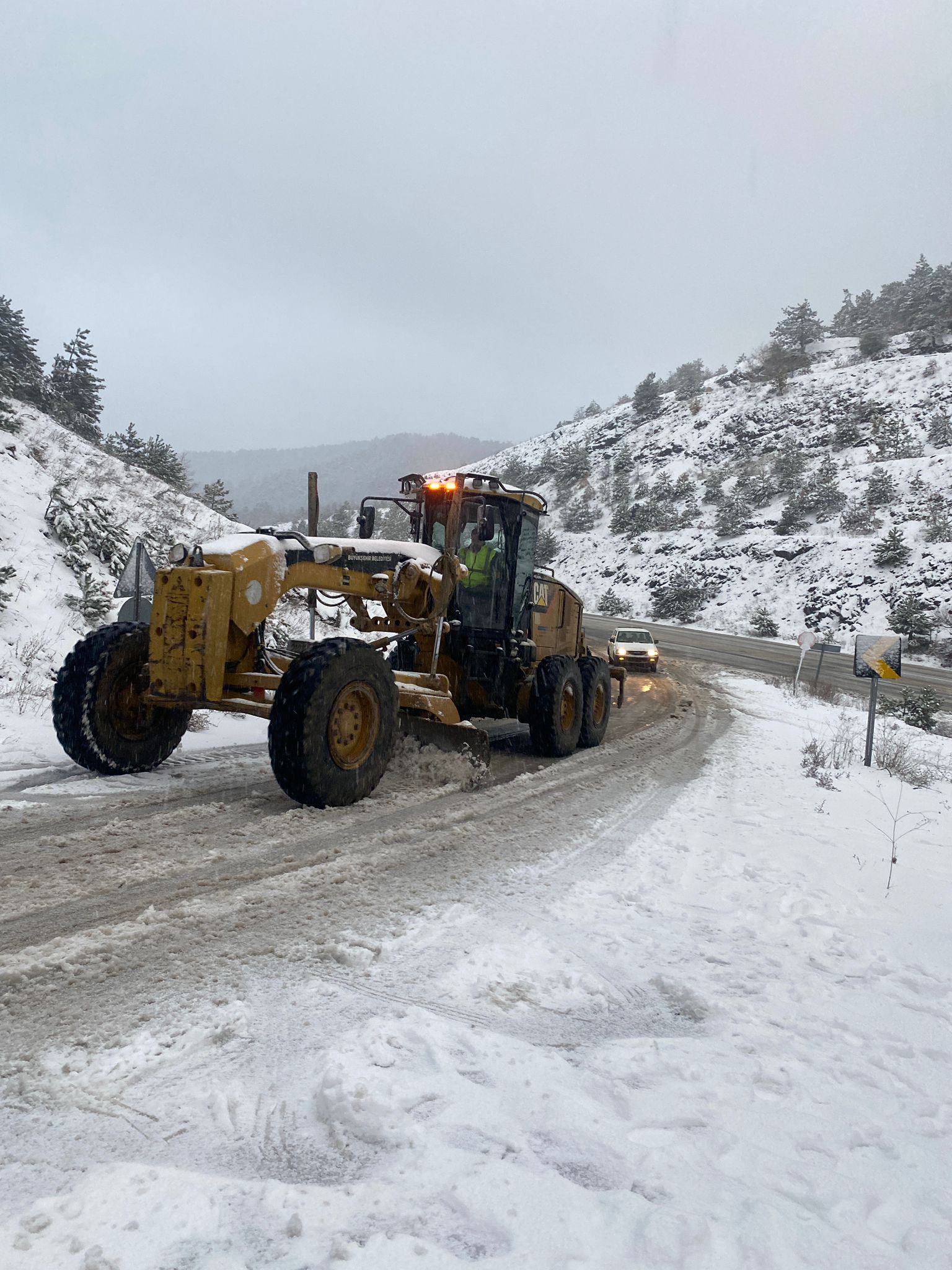 36540 M T Y5 N T Bl Mz 3