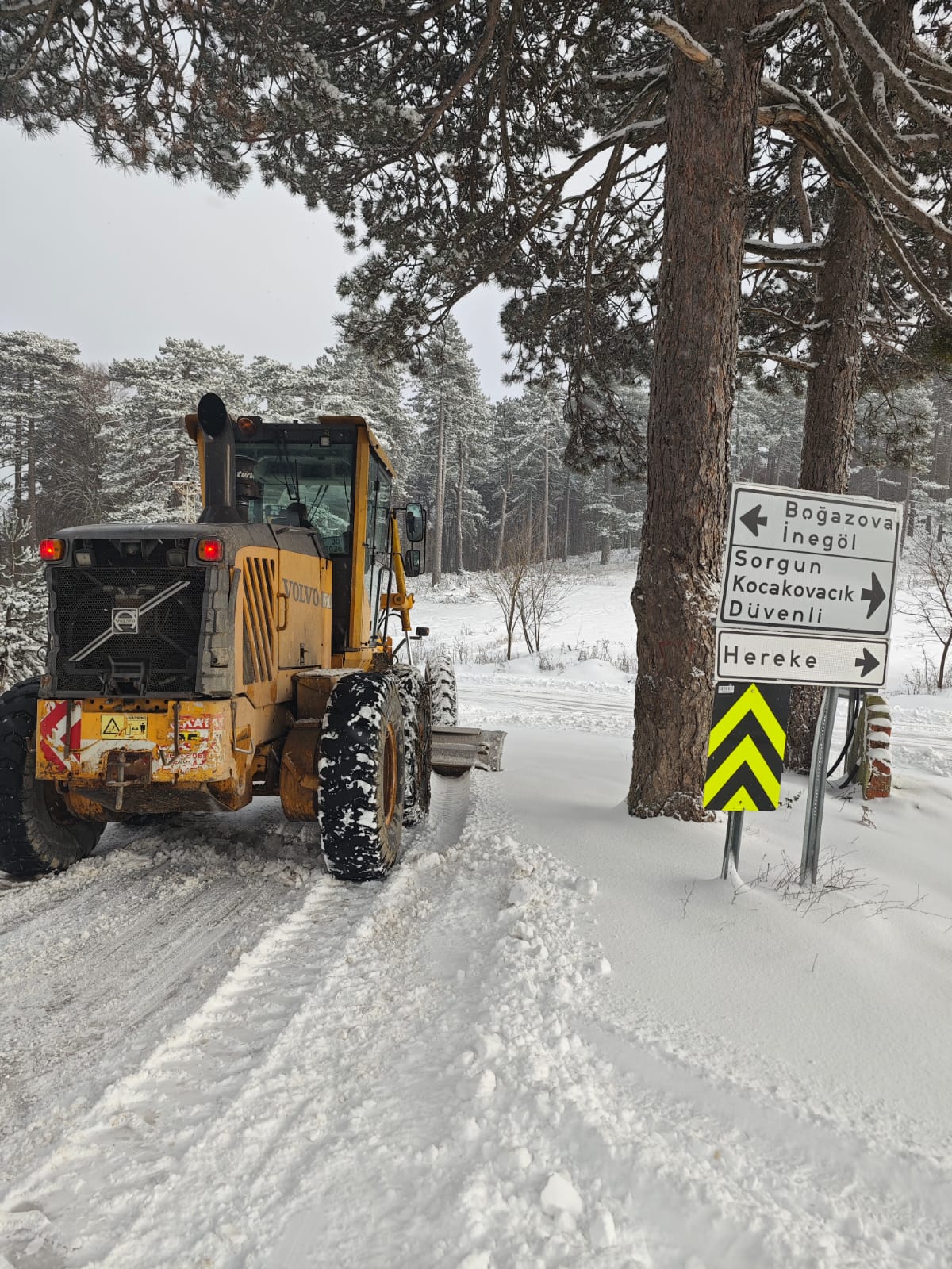 36540 M T Y5 N T Bl N2 1