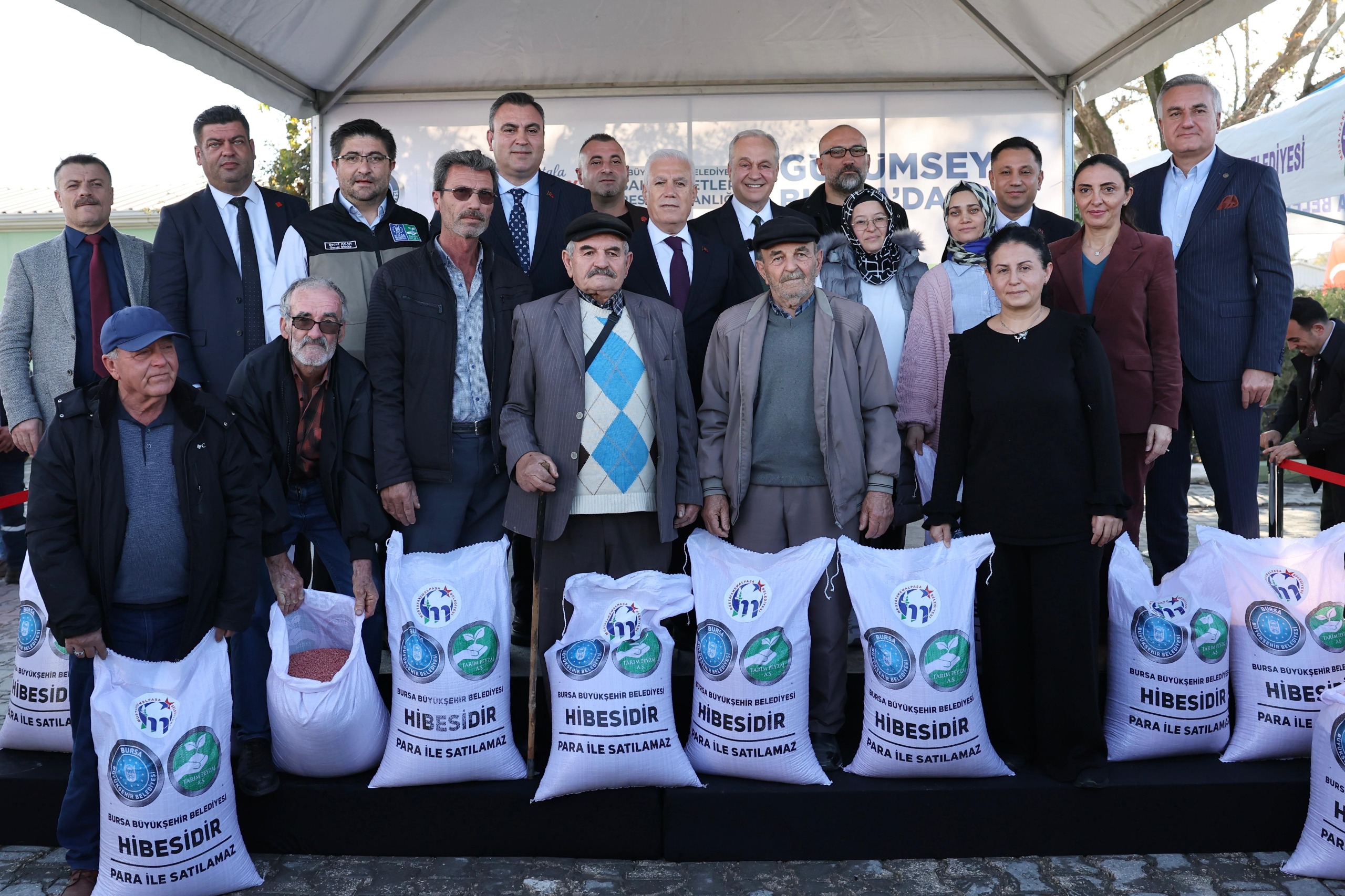 36564 M T Y5 N W Ey M G 1